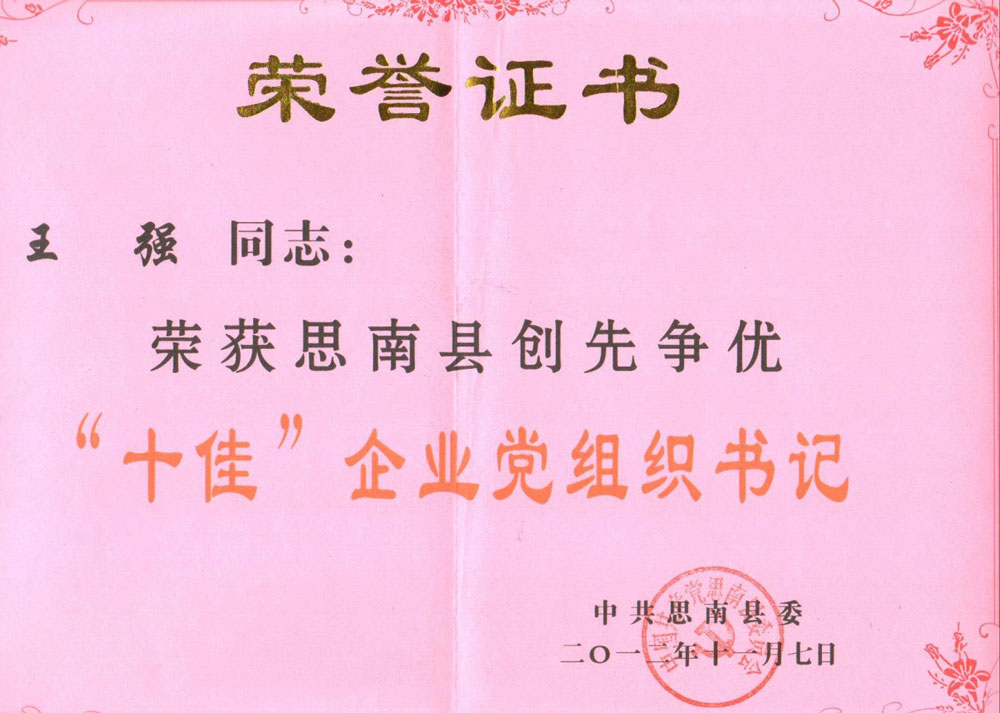 王強獲創先爭優“十佳“企業黨組織書記